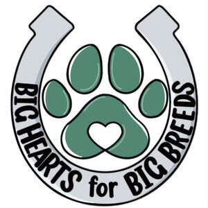 EVERY THURSDAY CHARITY SHOW FOR GREAT DANE RESCUE "BIG HEARTS FOR BIG BREEDS"!!